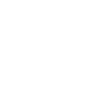 LIMPEZA-IJ-GESSO